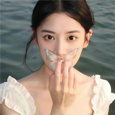 大湾区旅行者